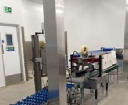 Flexible Conveyor